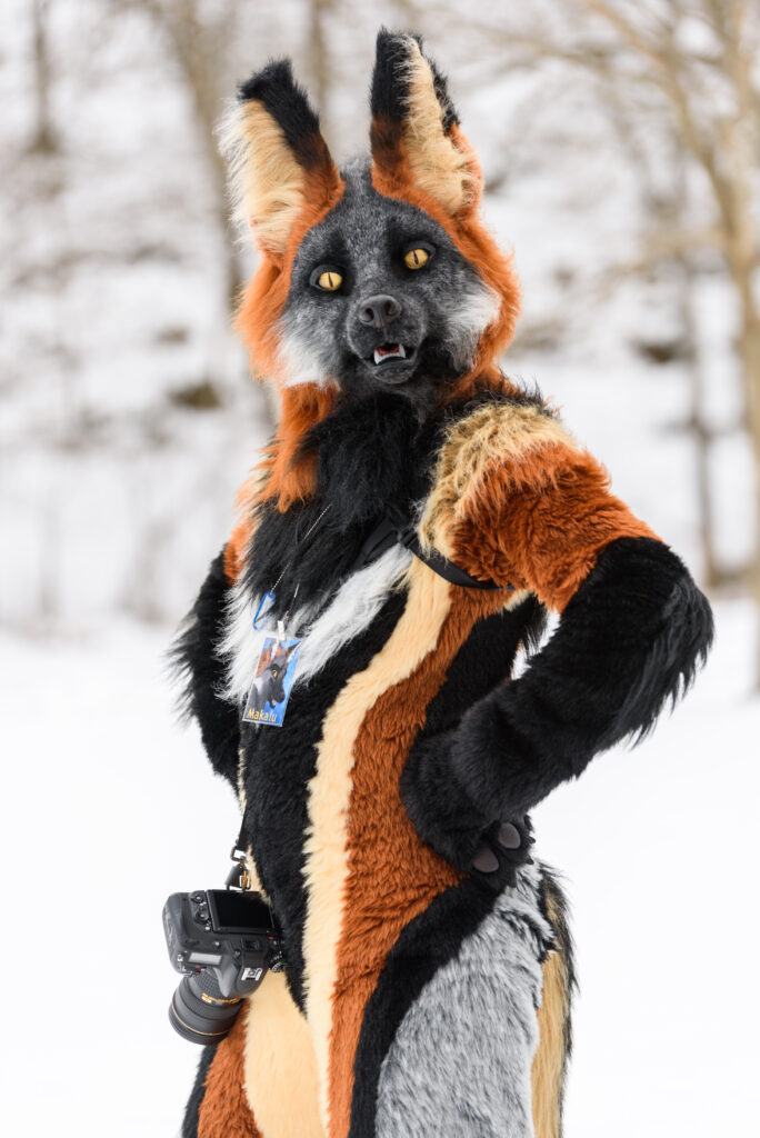 a fox with a camera stands in a snowy field